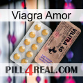 Viagra Love 41